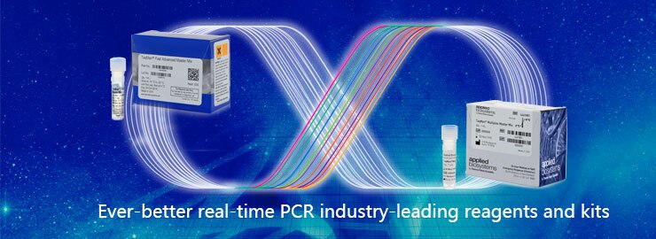 SYBR Green Real Time PCR Master Mixes